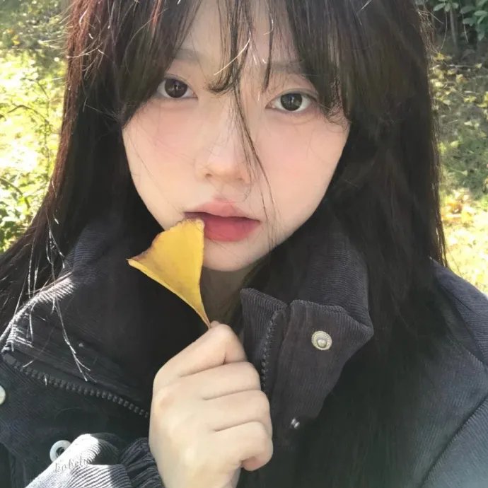 新蝶恋花